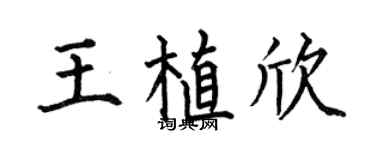 何伯昌王植欣楷书个性签名怎么写