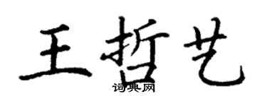 丁谦王哲艺楷书个性签名怎么写