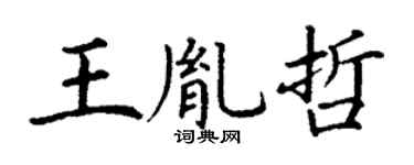 丁谦王胤哲楷书个性签名怎么写