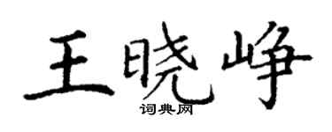 丁谦王晓峥楷书个性签名怎么写