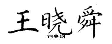 丁谦王晓舜楷书个性签名怎么写