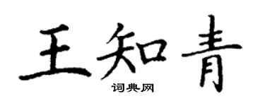 丁谦王知青楷书个性签名怎么写