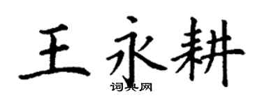 丁谦王永耕楷书个性签名怎么写