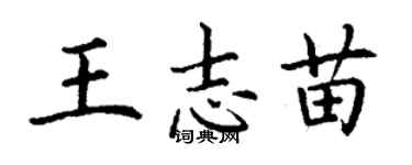 丁谦王志苗楷书个性签名怎么写