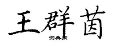 丁谦王群茵楷书个性签名怎么写