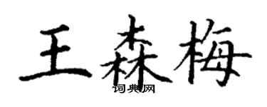 丁谦王森梅楷书个性签名怎么写