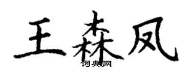 丁谦王森凤楷书个性签名怎么写