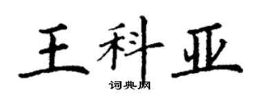 丁谦王科亚楷书个性签名怎么写