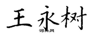 丁谦王永树楷书个性签名怎么写