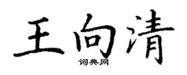 丁谦王向清楷书个性签名怎么写