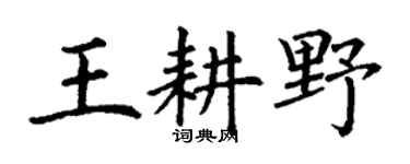 丁谦王耕野楷书个性签名怎么写