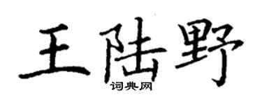 丁谦王陆野楷书个性签名怎么写