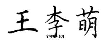 丁谦王李萌楷书个性签名怎么写