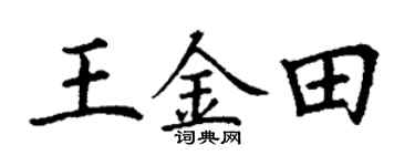 丁谦王金田楷书个性签名怎么写