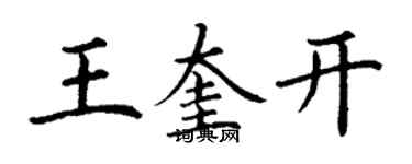 丁谦王奎开楷书个性签名怎么写
