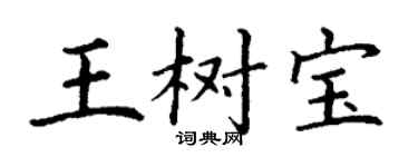 丁谦王树宝楷书个性签名怎么写