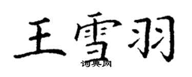 丁谦王雪羽楷书个性签名怎么写