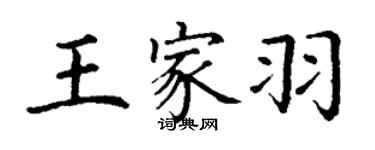 丁谦王家羽楷书个性签名怎么写