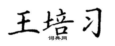 丁谦王培习楷书个性签名怎么写
