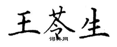 丁谦王苓生楷书个性签名怎么写