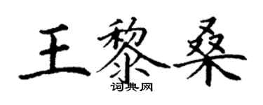 丁谦王黎桑楷书个性签名怎么写