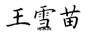 丁谦王雪苗楷书个性签名怎么写
