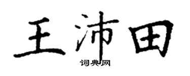 丁谦王沛田楷书个性签名怎么写