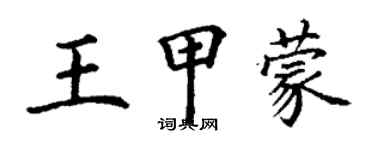 丁谦王甲蒙楷书个性签名怎么写