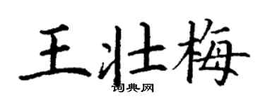 丁谦王壮梅楷书个性签名怎么写