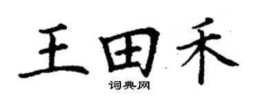 丁谦王田禾楷书个性签名怎么写