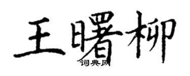 丁谦王曙柳楷书个性签名怎么写