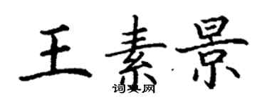 丁谦王素景楷书个性签名怎么写