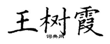丁谦王树霞楷书个性签名怎么写