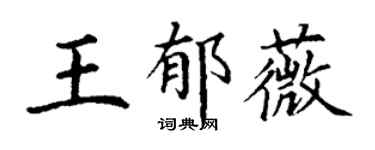 丁谦王郁薇楷书个性签名怎么写