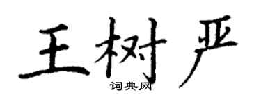 丁谦王树严楷书个性签名怎么写