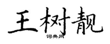 丁谦王树靓楷书个性签名怎么写