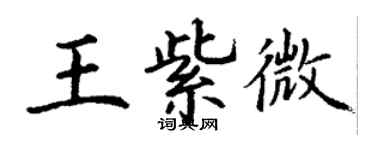 丁谦王紫微楷书个性签名怎么写