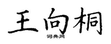 丁谦王向桐楷书个性签名怎么写