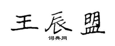 袁强王辰盟楷书个性签名怎么写