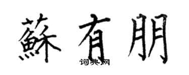 何伯昌苏有朋楷书个性签名怎么写
