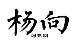 翁闿运杨向楷书个性签名怎么写