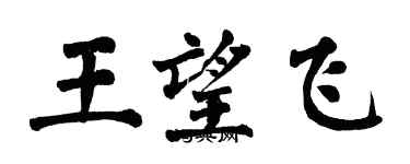 翁闿运王望飞楷书个性签名怎么写