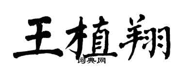 翁闿运王植翔楷书个性签名怎么写