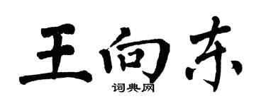 翁闿运王向东楷书个性签名怎么写