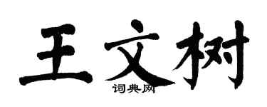 翁闿运王文树楷书个性签名怎么写