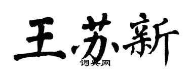 翁闿运王苏新楷书个性签名怎么写