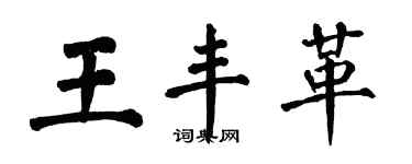 翁闿运王丰革楷书个性签名怎么写