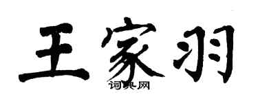 翁闿运王家羽楷书个性签名怎么写