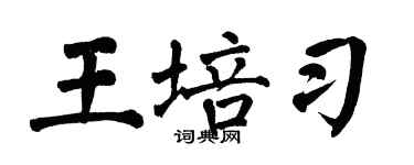 翁闿运王培习楷书个性签名怎么写