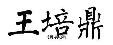 翁闿运王培鼎楷书个性签名怎么写